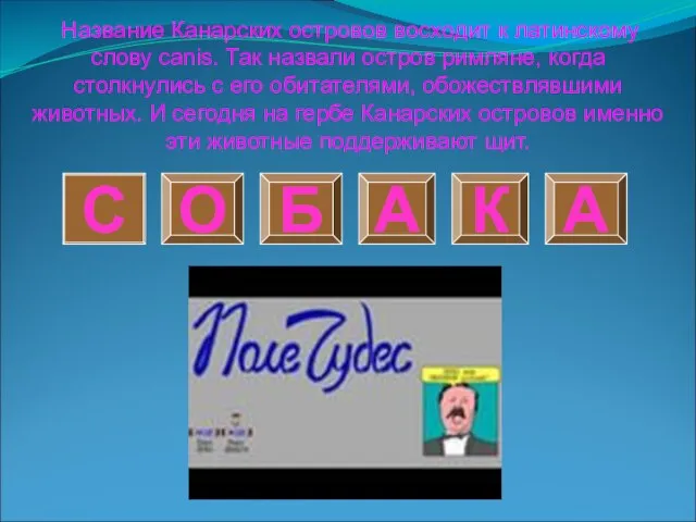 О С Б К А А Название Канарских островов восходит к латинскому