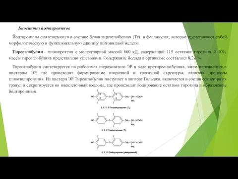 Биосинтез йодтиронинов Йодтиронины синтезируются в составе белка тиреоглобулина (Тг) в фолликулах, которые