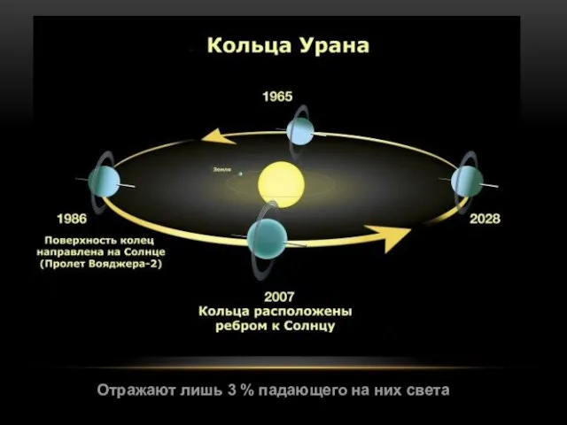 Отражают лишь 3 % падающего на них света