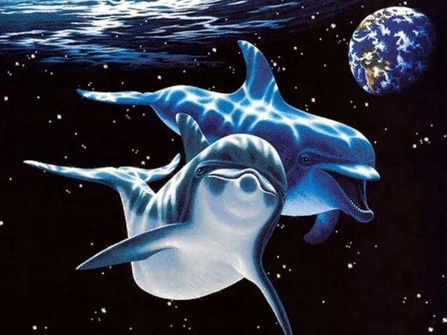 Млекопитающие Кто из них так передвигается: плавает, ходит? дельфин тюлень бобр У