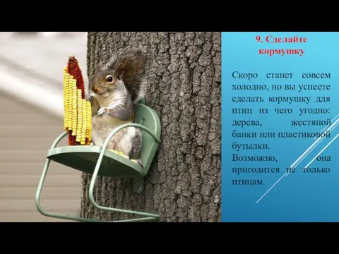 9. Сделайте кормушку Скоро станет совсем холодно, но вы успеете сделать кормушку