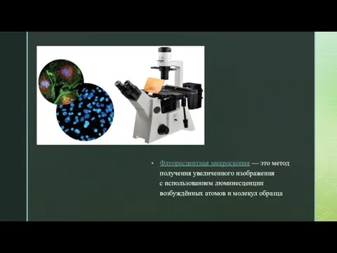 Флуоресцентная микроскопия — это метод получения увеличенного изображения с использованием люминесценции возбуждённых атомов и молекул образца