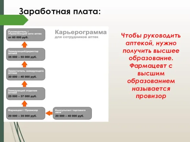 Заработная плата: Чтобы руководить аптекой, нужно получить высшее образование. Фармацевт с высшим образованием называется провизор