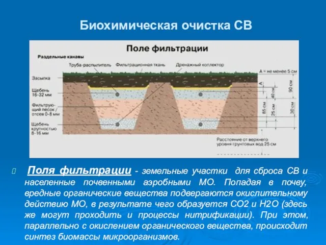 Биохимическая очистка СВ Поля фильтрации - земельные участки для сброса СВ и