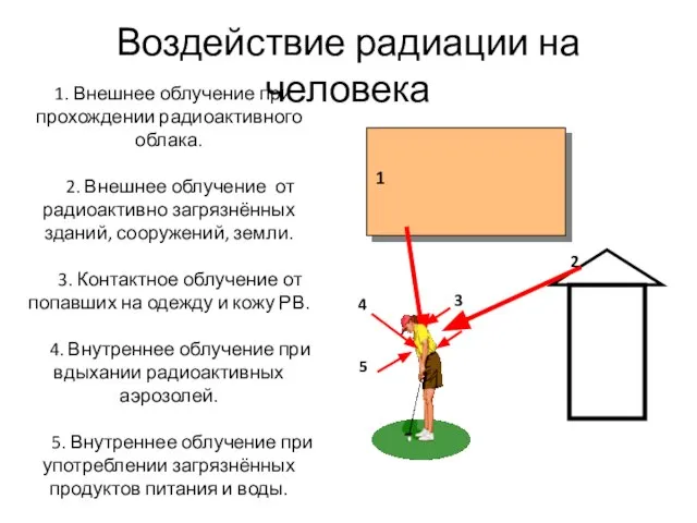 Воздействие радиации на человека 1 2 3 4 1. Внешнее облучение при