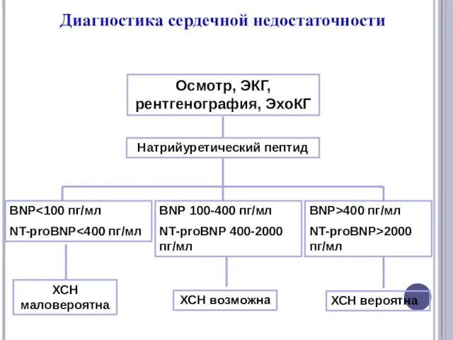 Диагностика сердечной недостаточности Осмотр, ЭКГ, рентгенография, ЭхоКГ Натрийуретический пептид BNP NT-proBNP BNP