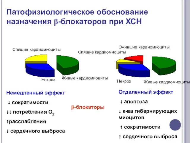 Патофизиологическое обоснование назначения β-блокаторов при ХСН Живые кардиомиоциты Ожившие кардиомиоциты Спящие кардиомиоциты