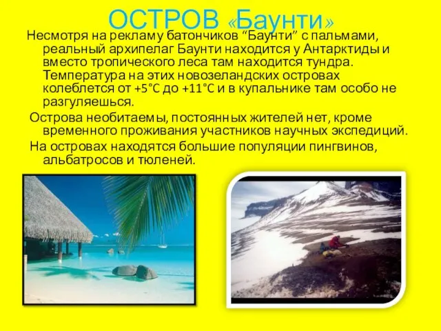 ОСТРОВ «Баунти» Несмотря на рекламу батончиков “Баунти” с пальмами, реальный архипелаг Баунти
