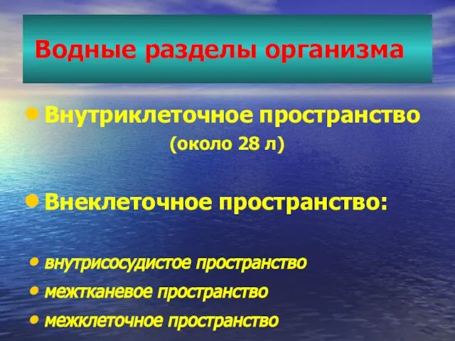 Водные разделы организма Внутриклеточное пространство (около 28 л) Внеклеточное пространство: внутрисосудистое пространство межтканевое пространство межклеточное пространство