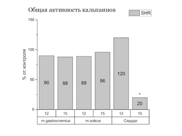 Общая активность кальпаинов