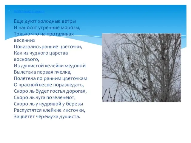 Александр Пушкин Еще дуют холодные ветры И наносят утренние морозы, Только что