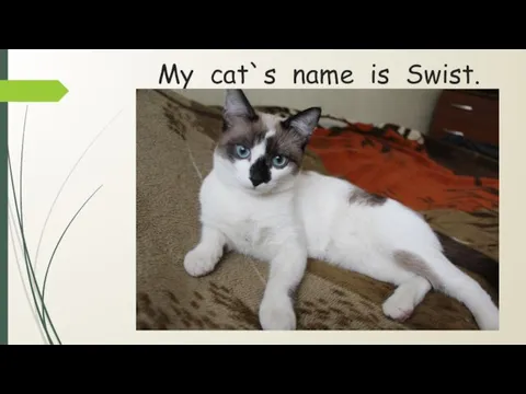 My cat`s name is Swist.