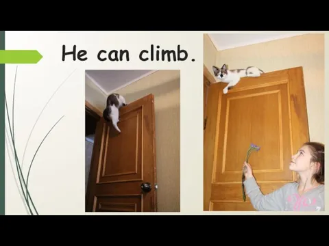 He can climb.