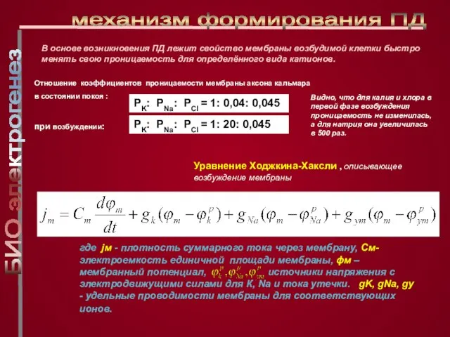 В основе возникновения ПД лежит свойство мембраны возбудимой клетки быстро менять свою