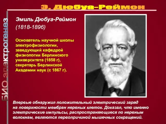 Эмиль Дюбуа-Реймон (1818-1896) Основатель научной школы электрофизиологии, заведующий кафедрой физиологии Берлинского университета