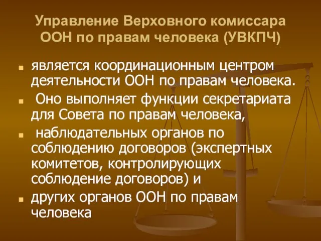 Управление Верховного комиссара ООН по правам человека (УВКПЧ) является координационным центром деятельности