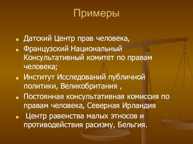 Примеры Датский Центр прав человека, Французский Национальный Консультативный комитет по правам человека;