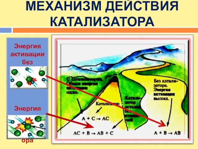 МЕХАНИЗМ ДЕЙСТВИЯ КАТАЛИЗАТОРА Энергия активации без катализатора Энергия активации с катализатора