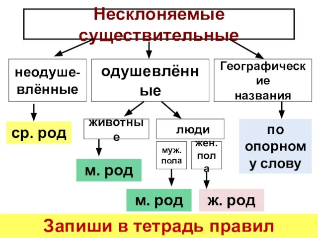 Несклоняемые существительные неодуше- влённые одушевлённые Географические названия животные люди муж. пола жен.