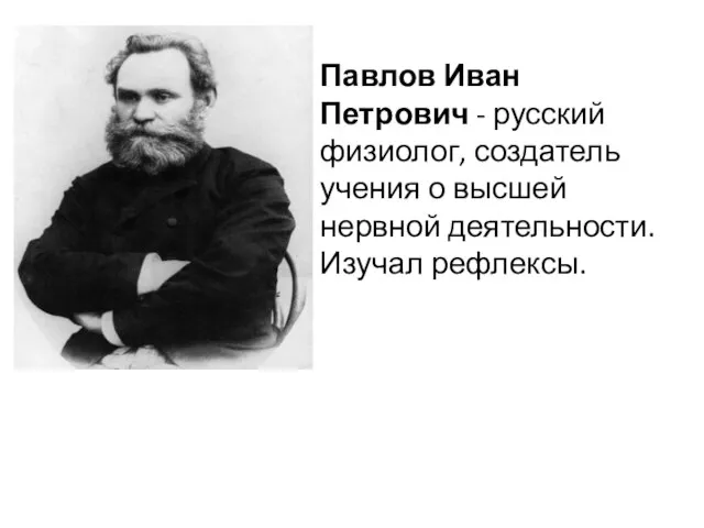 Павлов Иван Петрович - русский физиолог, создатель учения о высшей нервной деятельности. Изучал рефлексы.