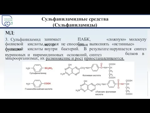 Сульфаниламидные средства (Сульфаниламиды) МД: 3. Сульфаниламид занимает место ПАБК, давая «ложную» молекулу