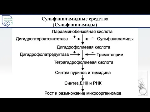 Сульфаниламидные средства (Сульфаниламиды)