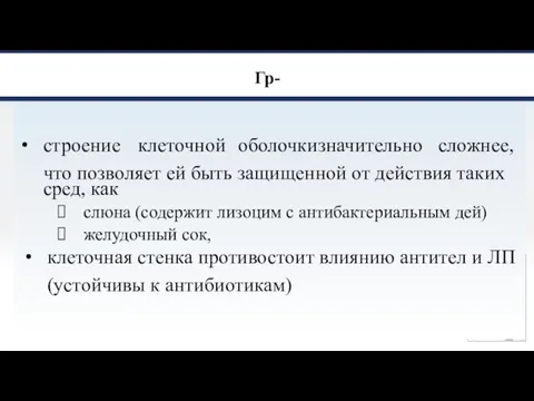 Гр- строение клеточной оболочки значительно сложнее, что позволяет ей быть защищенной от