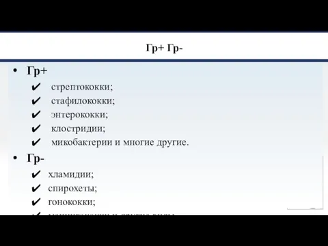 Гр+ Гр- Гр+ стрептококки; стафилококки; энтерококки; клостридии; микобактерии и многие другие. Гр-