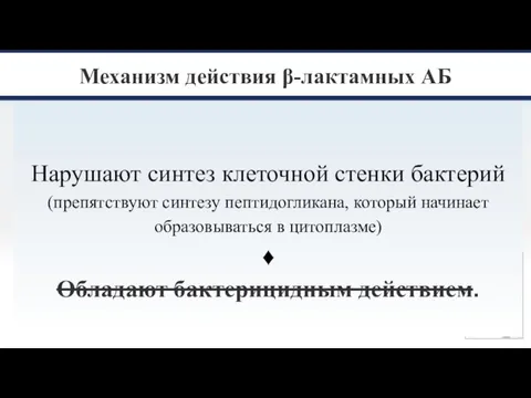 Механизм действия β-лактамных АБ Нарушают синтез клеточной стенки бактерий (препятствуют синтезу пептидогликана,