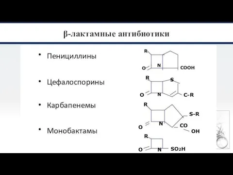 β-лактамные антибиотики