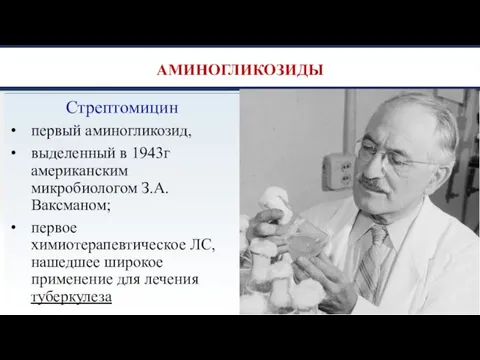 АМИНОГЛИКОЗИДЫ Стрептомицин первый аминогликозид, выделенный в 1943г американским микробиологом З.А. Ваксманом; первое