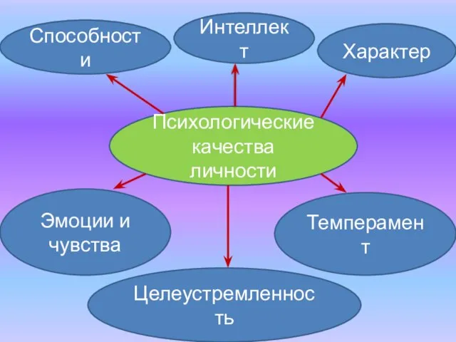 Психологические качества личности Интеллект Способности Характер Эмоции и чувства Целеустремленность Темперамент