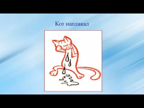 Кот наплакал