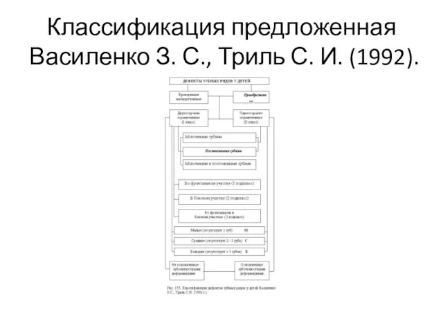 Классификация предложенная Василенко З. С., Триль С. И. (1992).