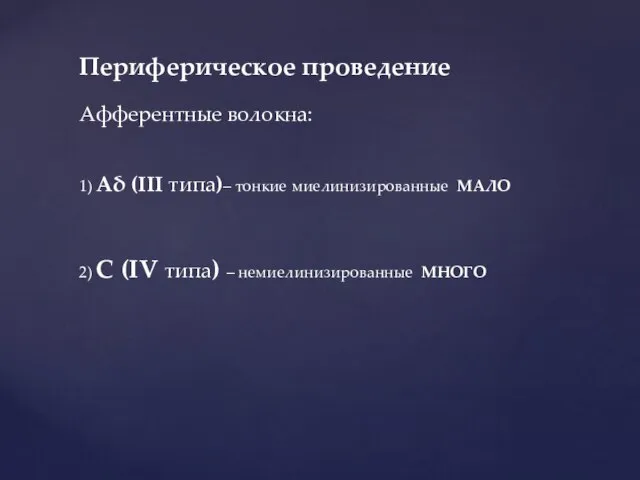 Периферическое проведение Афферентные волокна: 1) Аδ (III типа)– тонкие миелинизированные МАЛО 2)