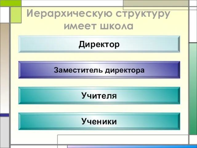 Иерархическую структуру имеет школа