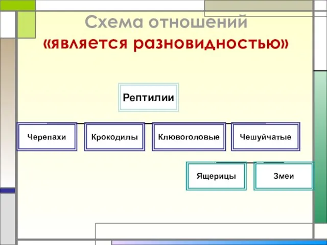 Схема отношений «является разновидностью»