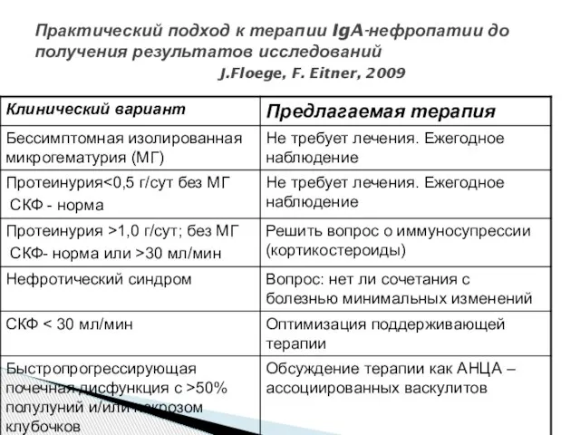 Практический подход к терапии IgA-нефропатии до получения результатов исследований J.Floege, F. Eitner, 2009