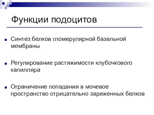 Функции подоцитов Синтез белков гломерулярной базальной мембраны Регулирование растяжимости клубочкового капилляра Ограничение