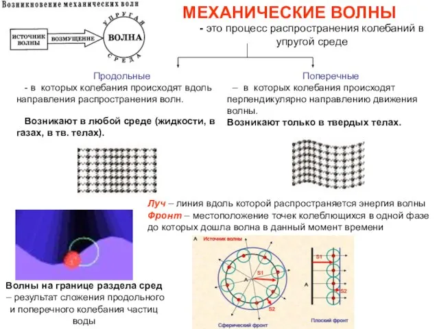 МЕХАНИЧЕСКИЕ ВОЛНЫ - это процесс распространения колебаний в упругой среде Поперечные –