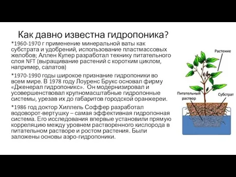 Как давно известна гидропоника? *1960-1970 г применение минеральной ваты как субстрата и