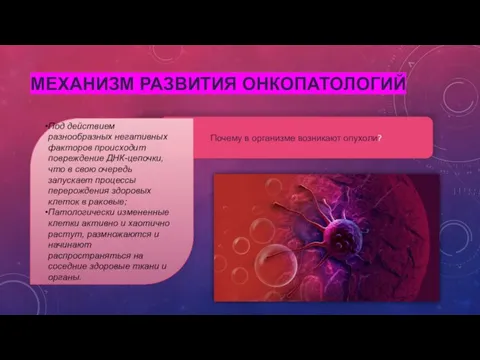 МЕХАНИЗМ РАЗВИТИЯ ОНКОПАТОЛОГИЙ Почему в организме возникают опухоли? Под действием разнообразных негативных