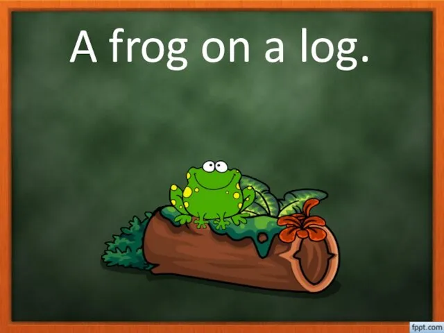 A frog on a log.