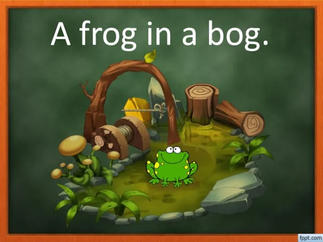 A frog in a bog.