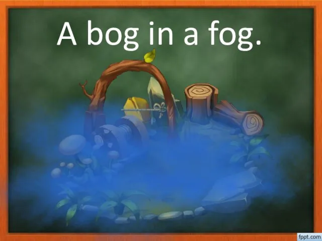 A bog in a fog.