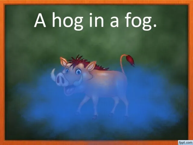 A hog in a fog.
