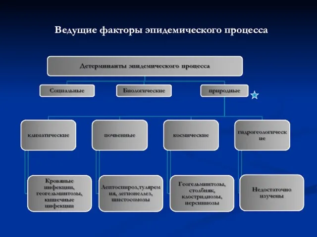 Ведущие факторы эпидемического процесса