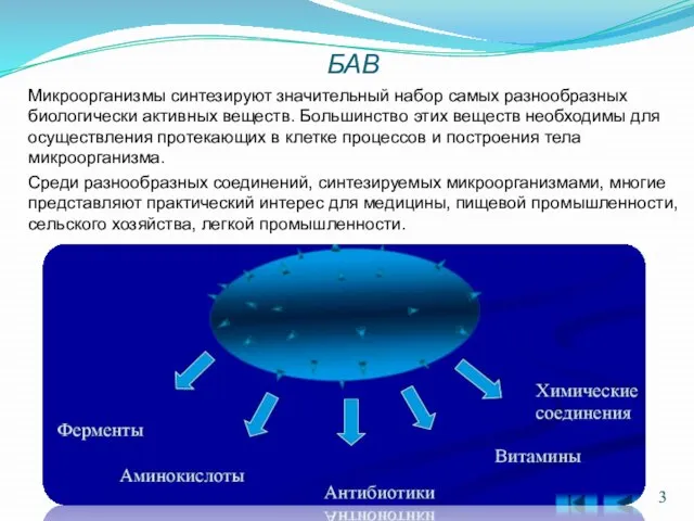 БАВ Микроорганизмы синтезируют значительный набор самых разнообразных биологически активных веществ. Большинство этих