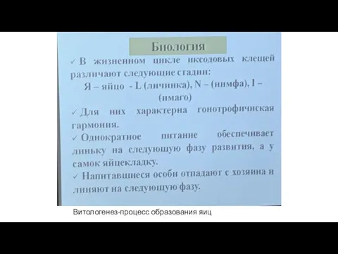 Витологенез-процесс образования яиц