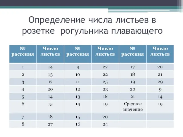 Определение числа листьев в розетке рогульника плавающего